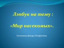 Лэпбук для детей дошкольного возраста на тему: Мир насекомых.