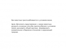 Презентация к уроку окружающий мир Как животные приспосабливаются к условиям жизни