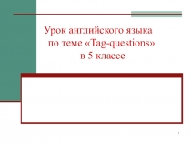 Презентация Разделительные вопросы 5 класс