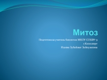 Презентация Деление клетки. Митоз