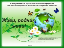 Проект по окружающему миру Живи, родник, живи!