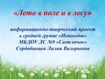 Презентация проекта в средней группе Непоседы на тему Лето в поле и в лесу