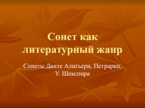 Сонет как литературный жанр