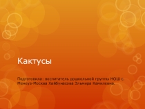 Презентация для дошкольной группы Кактусы.