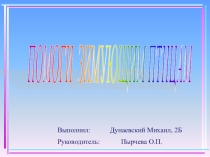 Проект Помоги зимующим птицам