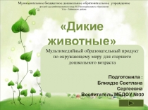 Презентация для старшего дошкольного возраста на тему Дикие животные группа компенсирующей направленности