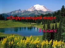 Презентация к уроку окружающего мира Охрана растений 3 класс, УМК Школа России.
