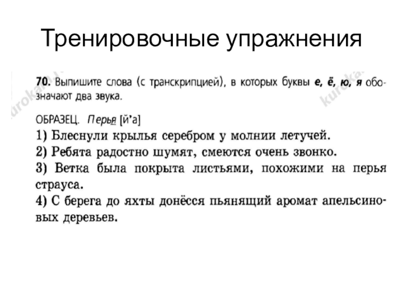 Презентация по русскому языку на тему Что обозначают буквы е,ё,ю,я (5 класс) Тренировочные упражнения Тренировочные упражнения