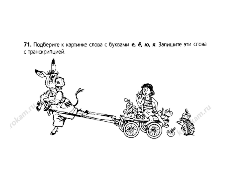 Презентация по русскому языку на тему Что обозначают буквы е,ё,ю,я (5 класс)