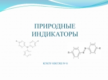 Урок-проект по химии Природные индикаторы