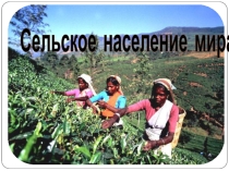 Презентация по географии на тему Население (10 класс)