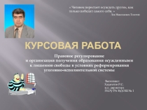 Правовое регулирование и организация получения образования осужденными к лишению свободы в условиях реформирования уголовно-исполнительной системы