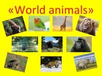 Презентация по английскому языку к уроку World animals