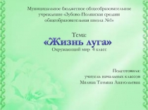 Презентация по окружающему миру на тему Жизнь луга