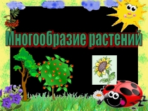 Презентация по окружающему миру Разнообразие растений (1 класс)