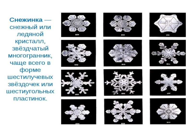 Презентация по математике на тему Геометрия многогранников