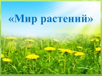 Презентация по живому миру на тему Мир растений (3 класс)