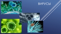 Презентация по биологии на тему: Вирусы (10 класс)