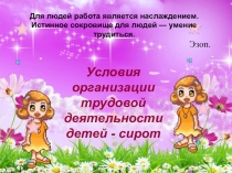 Условия организации трудовой деятельности детей сирот.