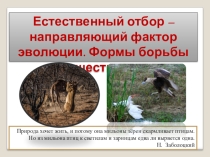 Презентация по биологии на тему Естественный отбор – направляющий фактор эволюции. Формы борьбы за существование (9 класс).