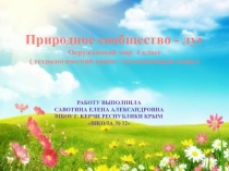 Презентация по окружающему миру на тему Природное сообщество - луг