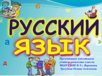 Презентация по русскому языку Склонение имен существительных