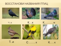 Презентация Урок по ФГОС