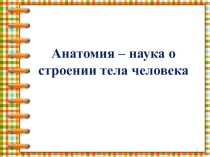 Презентация по окружающему миру на тему Строение тела человека 2 класс