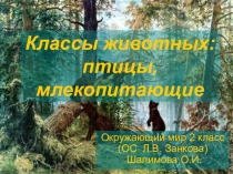 Презентация по окружающему миру на тему Классы животных