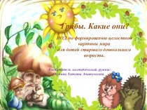 Презентация Грибы. Какие они?