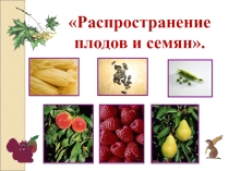 распространение семян
