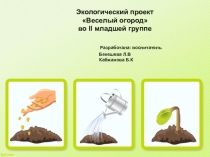 Презентация экологического проекта Веселый огород