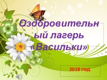 Презентация по ДОЛ при школе