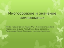 Презентация по биологии на тему Многообразие земноводных (7 класс)