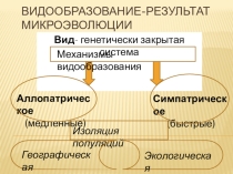 Презентация по биологии на тему Видовое разнообразие 11 класс