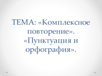 Комплексное повторение. Пунктуация и орфография.