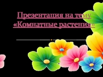 Презентация по окружающему миру Комнатные растения