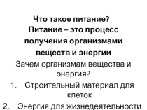 Презентация по биологии для 6 класса по теме Особенности питания животных
