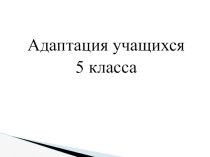 Уровень адаптации в 5 классе