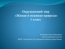 Презентация по окружающему миру на тему Живая и неживая природа
