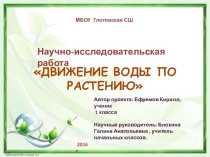 Презентация по окружающему миру .Научно-исследовательская работа Движение воды по растению 1 класс