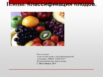 Презентация по биологии 6 класс Плоды