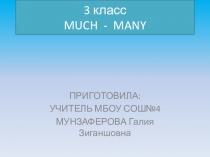 Презентация по английскому языку Much/many