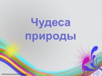 Чудеса природы. Радуга. Северное сияние.