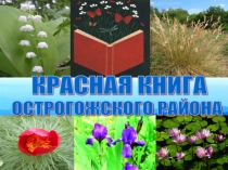 Презентация по окружающему миру Красная книга Острогожского района 3 класс