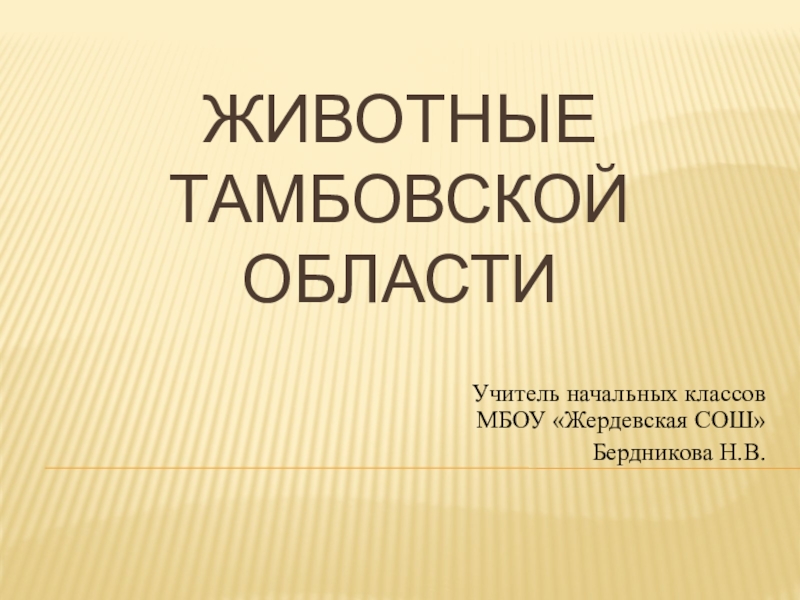 Презентация Проект Животные Тамбовской области