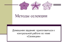 Презентация по биологии на тему Селекция, методы селекции (10-11 класс)
