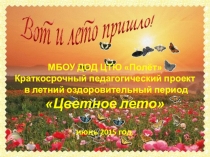 Презентация для летнего оздоровительного лагеря на тему Цветное лето