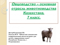 Презентации по биологии на тему Китообразные млекопитающие