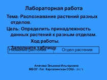 Презентация по биологии на тему  Лабораторная работа Распознавание наиболее распространенных растений своей местности